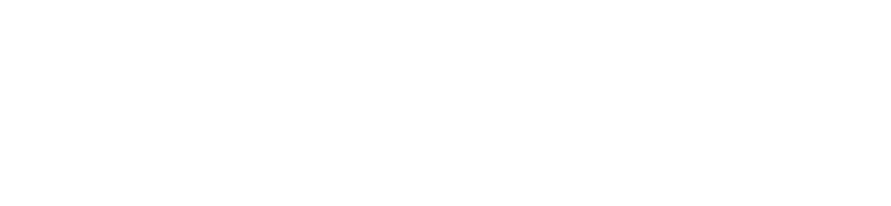 Raintree + Zocdoc 1 Raintree Logo Hex 004A98
