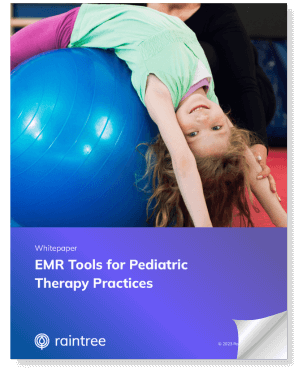 A Simple Mockup Of An Ebook Titled: Emr Tools For Pediatric Therapy Practices.