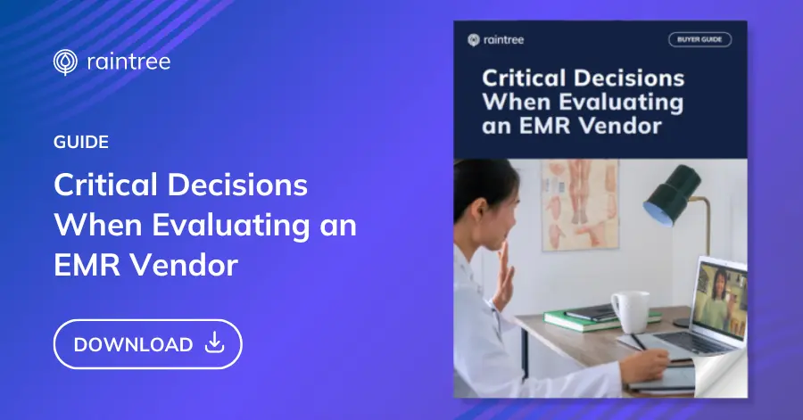 A Mockup Of The Raintree Systems Ebook, &Quot;Critical Decisions When Evaluating An Emr Vendor.&Quot;